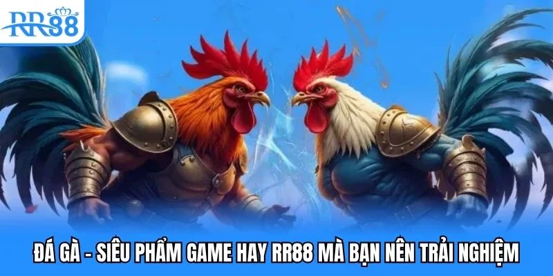 Đá gà - Siêu phẩm game hay RR88 mà bạn nên trải nghiệm