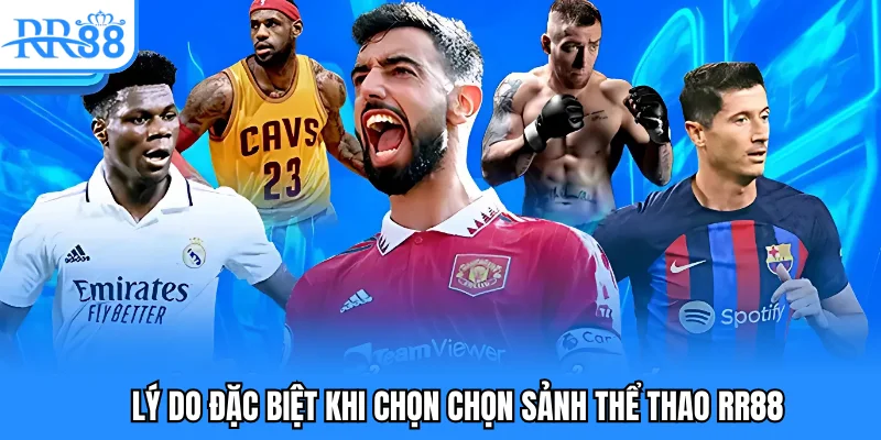 Lý do đặc biệt khi chọn chọn sảnh thể thao RR88