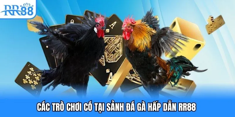 Tổng hợp các loại game tại sảnh chơi đá gà hấp dẫn RR88