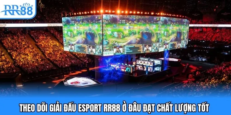 Theo dõi giải đấu Esport RR88 ở đâu đạt chất lượng tốt
