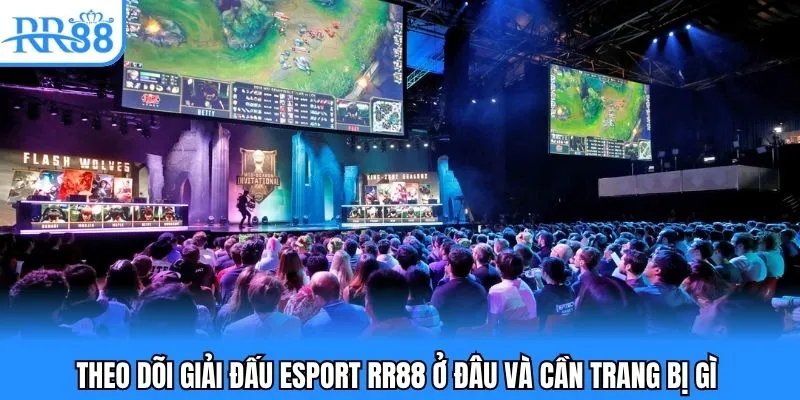 Theo dõi giải đấu Esport RR88 ở đâu và cần trang bị gì